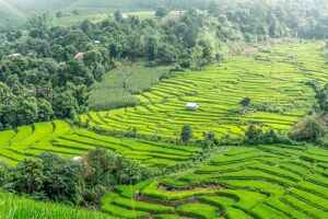 Chiang Khong Safety Travel Guide: Tips, Precautions & Eco-Tours